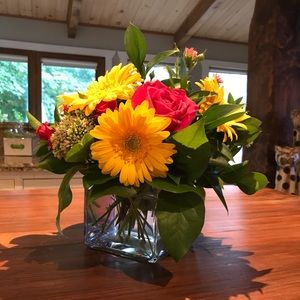 Meet your Posher, Jen